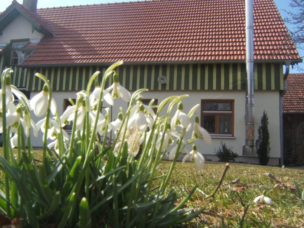 Bio Pension Kirschenfee Sontheim  Luaran gambar
